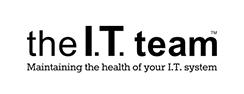 the I.T. team Logo